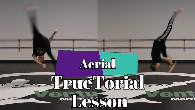 Butterfly to Aerial